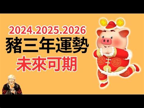 2024年豬